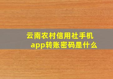 云南农村信用社手机app转账密码是什么