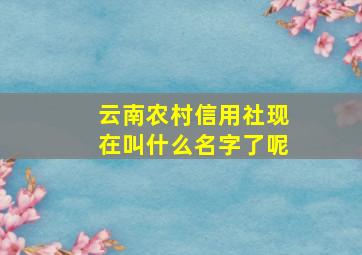 云南农村信用社现在叫什么名字了呢