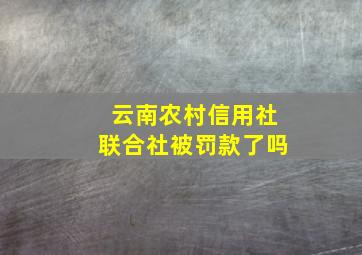 云南农村信用社联合社被罚款了吗