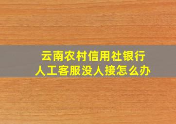 云南农村信用社银行人工客服没人接怎么办