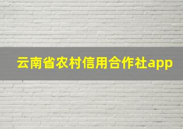 云南省农村信用合作社app