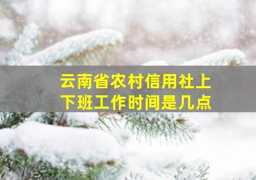 云南省农村信用社上下班工作时间是几点