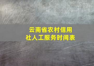 云南省农村信用社人工服务时间表