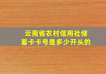 云南省农村信用社储蓄卡卡号是多少开头的