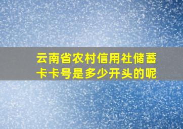 云南省农村信用社储蓄卡卡号是多少开头的呢