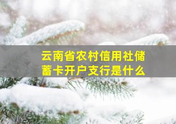 云南省农村信用社储蓄卡开户支行是什么