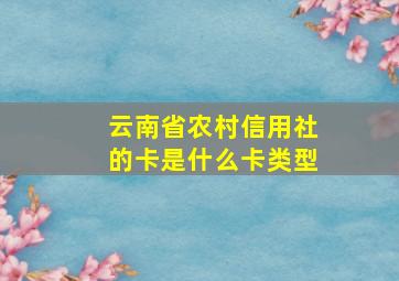 云南省农村信用社的卡是什么卡类型