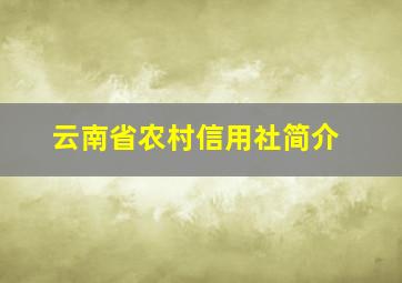 云南省农村信用社简介