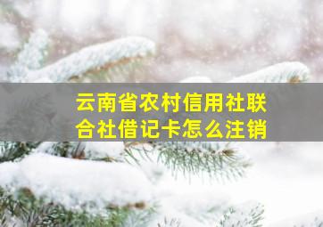 云南省农村信用社联合社借记卡怎么注销