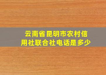 云南省昆明市农村信用社联合社电话是多少