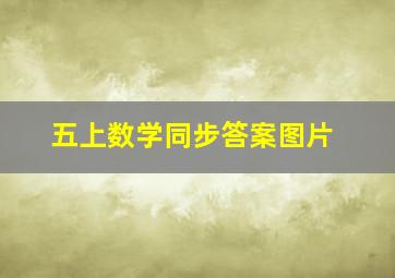 五上数学同步答案图片