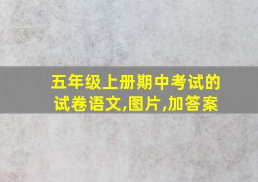 五年级上册期中考试的试卷语文,图片,加答案