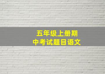 五年级上册期中考试题目语文