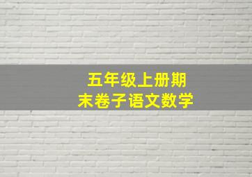 五年级上册期末卷子语文数学