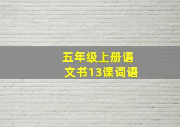 五年级上册语文书13课词语