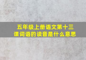 五年级上册语文第十三课词语的读音是什么意思