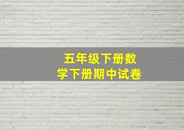 五年级下册数学下册期中试卷