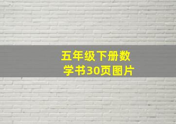 五年级下册数学书30页图片