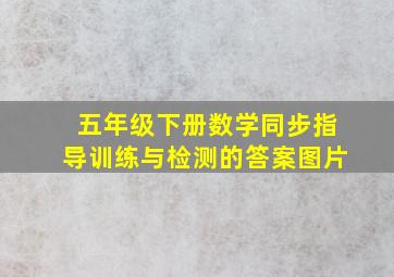 五年级下册数学同步指导训练与检测的答案图片