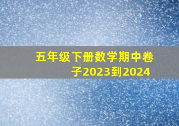 五年级下册数学期中卷子2023到2024