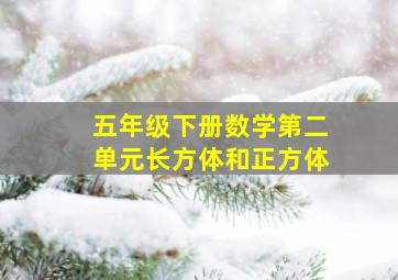 五年级下册数学第二单元长方体和正方体