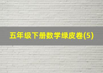 五年级下册数学绿皮卷(5)