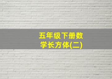 五年级下册数学长方体(二)