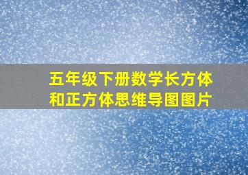 五年级下册数学长方体和正方体思维导图图片