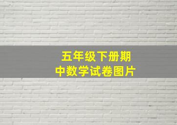 五年级下册期中数学试卷图片