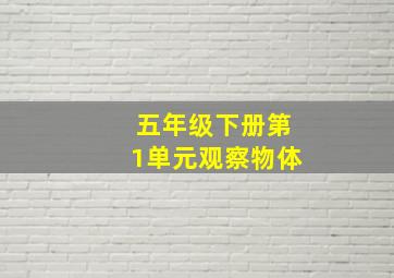 五年级下册第1单元观察物体