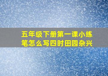 五年级下册第一课小练笔怎么写四时田园杂兴