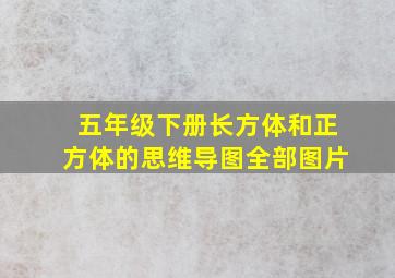 五年级下册长方体和正方体的思维导图全部图片