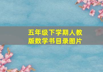 五年级下学期人教版数学书目录图片