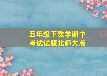 五年级下数学期中考试试题北师大版