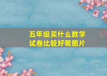 五年级买什么数学试卷比较好呢图片