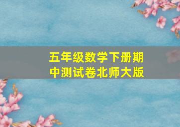 五年级数学下册期中测试卷北师大版