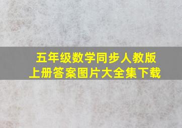 五年级数学同步人教版上册答案图片大全集下载