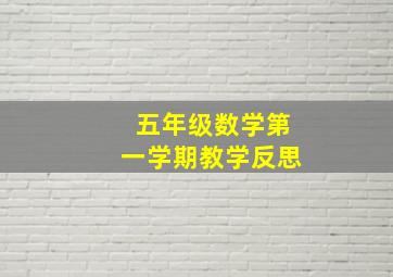 五年级数学第一学期教学反思