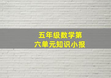 五年级数学第六单元知识小报