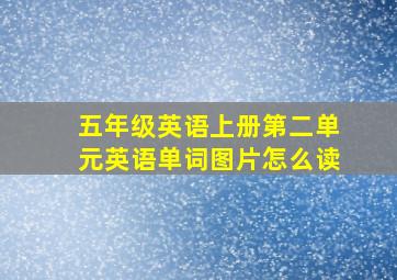 五年级英语上册第二单元英语单词图片怎么读