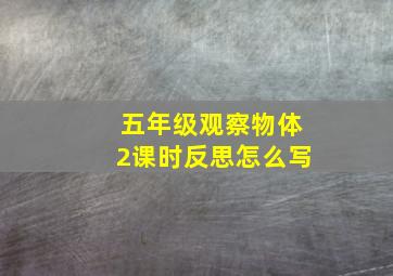 五年级观察物体2课时反思怎么写