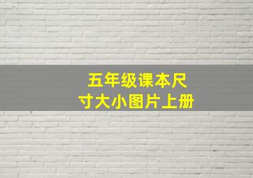 五年级课本尺寸大小图片上册