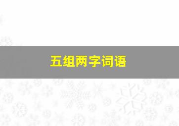 五组两字词语