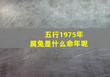 五行1975年属兔是什么命年呢