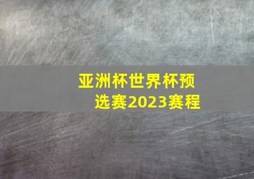 亚洲杯世界杯预选赛2023赛程