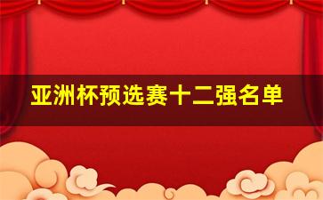 亚洲杯预选赛十二强名单