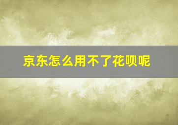 京东怎么用不了花呗呢