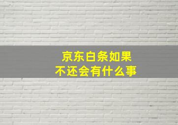 京东白条如果不还会有什么事