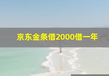 京东金条借2000借一年