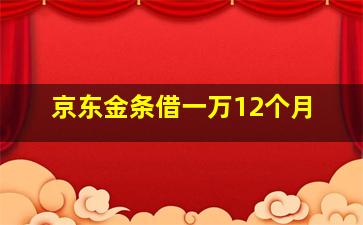 京东金条借一万12个月